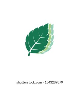 Mint leaves flat vector color icon template