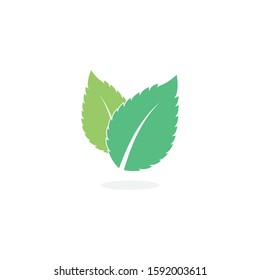 Mint leaves flat vector color icon template