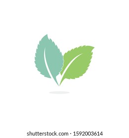 Mint leaves flat vector color icon template