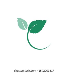 Mint leaves flat vector color icon template