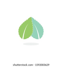 Mint leaves flat vector color icon template