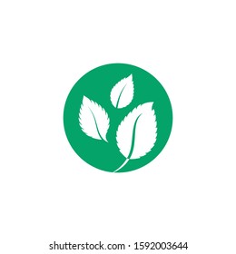 Mint leaves flat vector color icon template