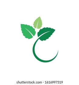 Mint leaves flat vector color icon template
