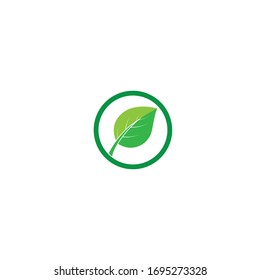 Mint leaves flat vector color icon template