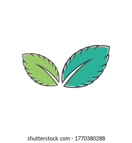 Mint leaves flat vector color icon template