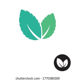 Mint leaves flat vector color icon template