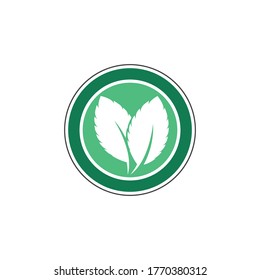 Mint leaves flat vector color icon template