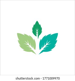 Mint leaves flat vector color icon template