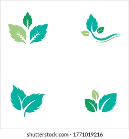 Mint leaves flat vector color icon template