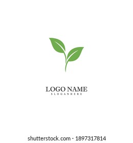Mint leaves flat vector color icon template
