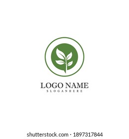 Mint leaves flat vector color icon template
