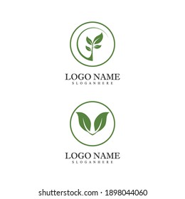 Mint leaves flat vector color icon template