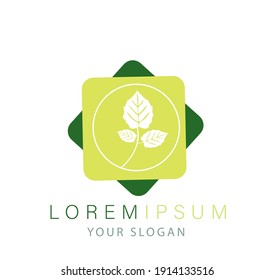 Mint leaves, flat vector color icon template