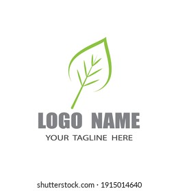 Mint leaves flat vector color icon template