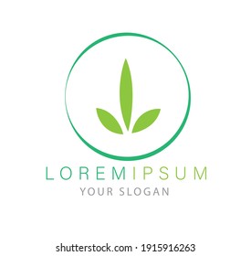 Mint leaves flat vector color icon template