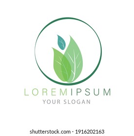 Mint leaves flat vector color icon template