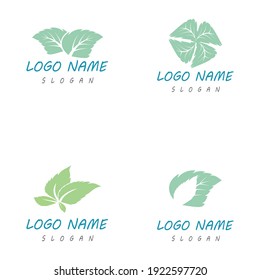 Mint leaves flat vector color icon template illustration design