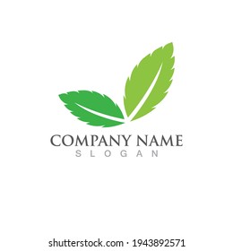 Mint leaves flat vector color icon template