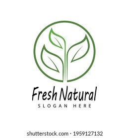 Mint leaves flat vector color icon template illustration design