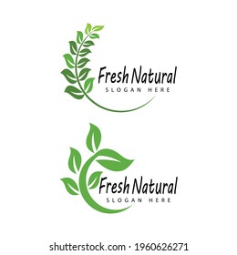 Mint leaves flat vector color icon template illustration design
