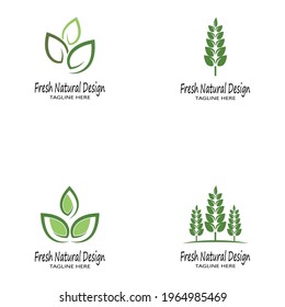 Mint leaves flat vector color icon template illustration design