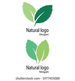 Mint leaves flat vector color icon template