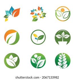 Mint leaves flat vector color icon template illustration design