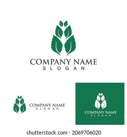 Mint leaves flat vector color icon template