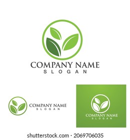 Mint leaves flat vector color icon template