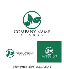 Mint leaves flat vector color icon template