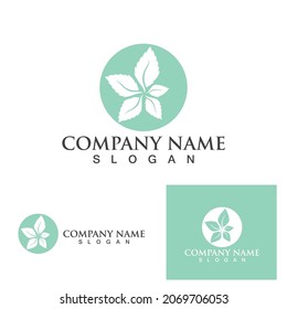 Mint deja una plantilla de icono de color de vector plano