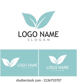 Mint leaves flat vector color icon template illustration design