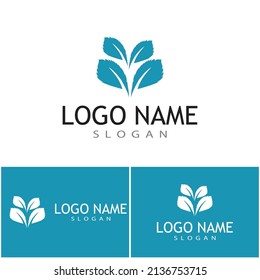 Mint leaves flat vector color icon template illustration design