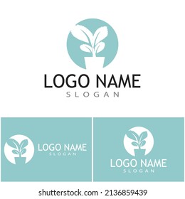 Mint leaves flat vector color icon template illustration design