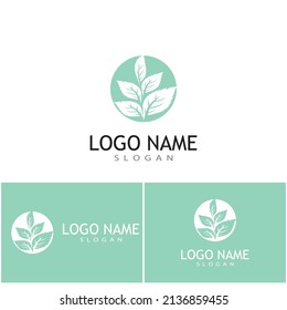 Mint leaves flat vector color icon template illustration design