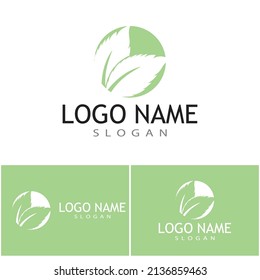 Minze hinterlässt flache Vektorfarbsymbol-Vorlagengrafik-Design