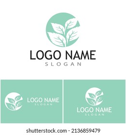 Mint leaves flat vector color icon template illustration design