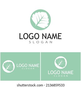 Mint leaves flat vector color icon template illustration design