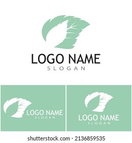 Mint leaves flat vector color icon template illustration design
