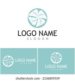 Mint leaves flat vector color icon template illustration design