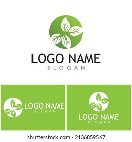 Mint deja un diseño de ilustración de icono de color de vector plano