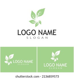 Mint leaves flat vector color icon template illustration design