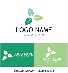 Mint leaves flat vector color icon template illustration design