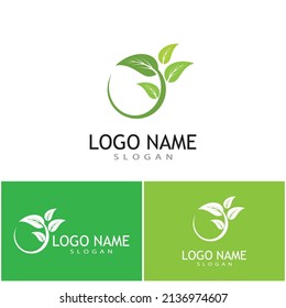 Mint leaves flat vector color icon template illustration design