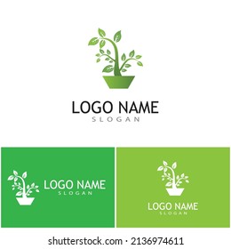 Mint leaves flat vector color icon template illustration design