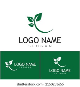 Minze hinterlässt flache Vektorfarbsymbol-Vorlagengrafik-Design