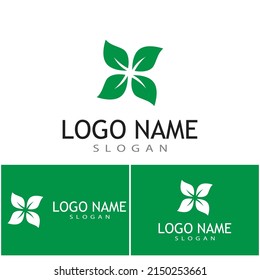 Mint leaves flat vector color icon template illustration design