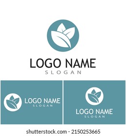 Mint deja un diseño de ilustración de icono de color de vector plano