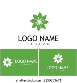 Mint leaves flat vector color icon template illustration design