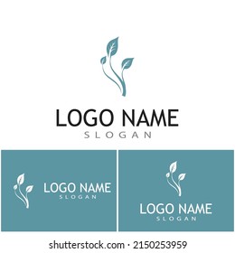 Mint leaves flat vector color icon template illustration design